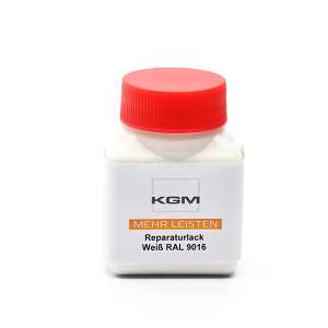 Leistenfarbe RAL 9016 100 ml