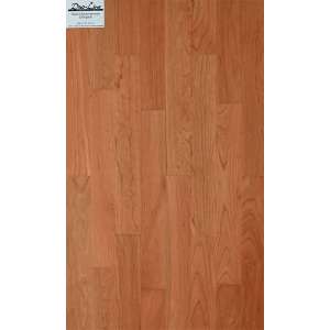 JASO Duo-Line 10 x 70 x 500/455 mm